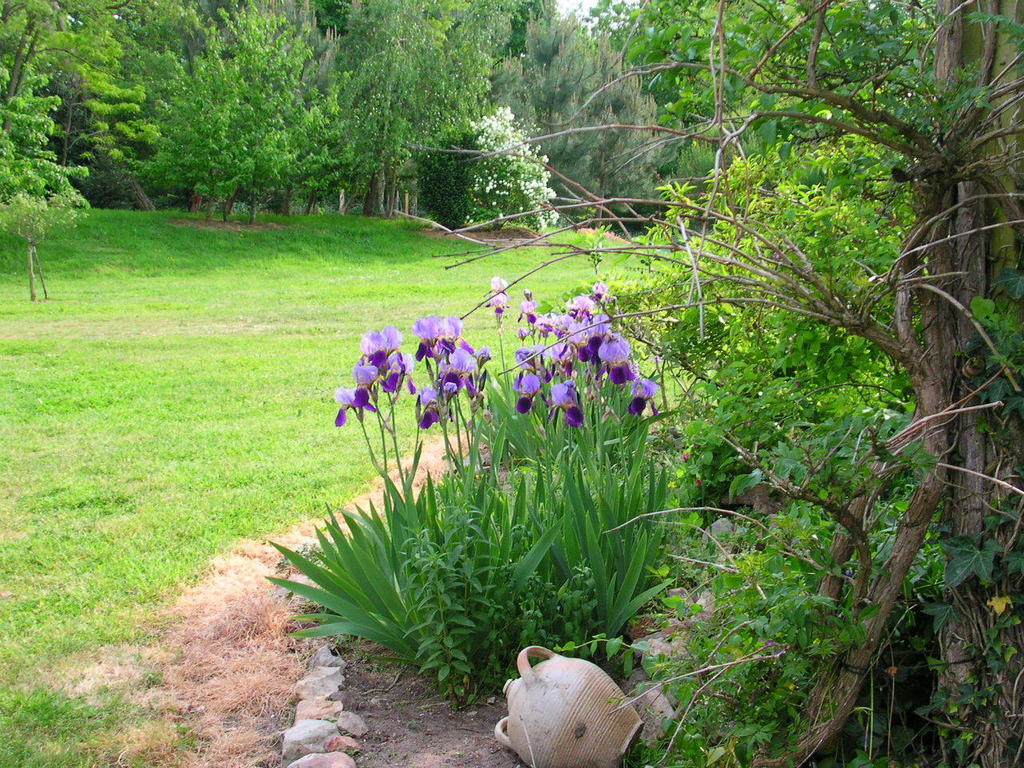La Mesnagerie Bed & Breakfast Jarze Room photo